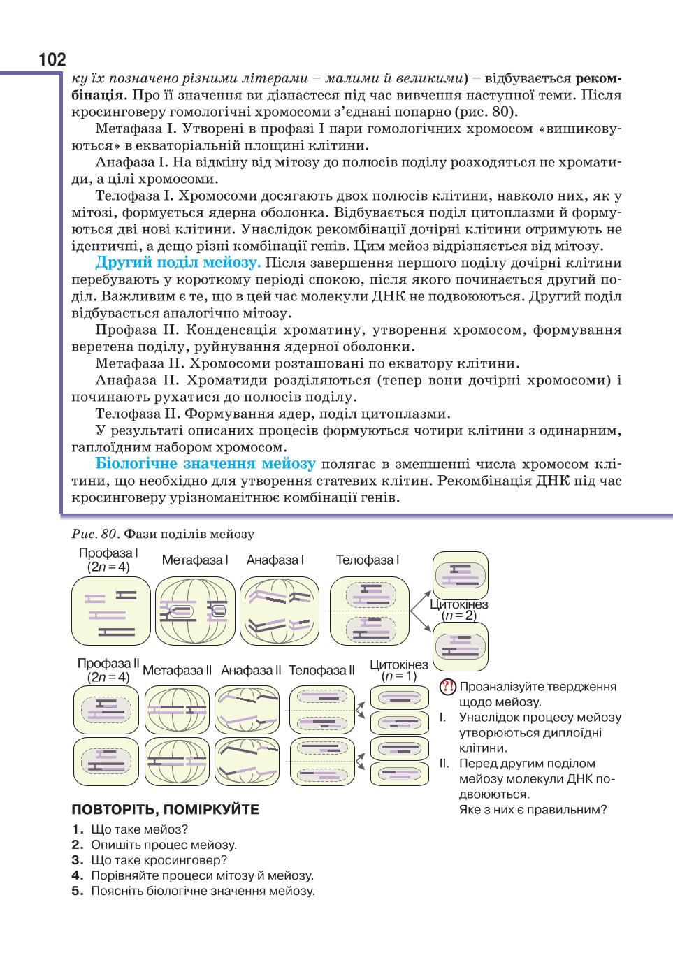Мініатюра 102