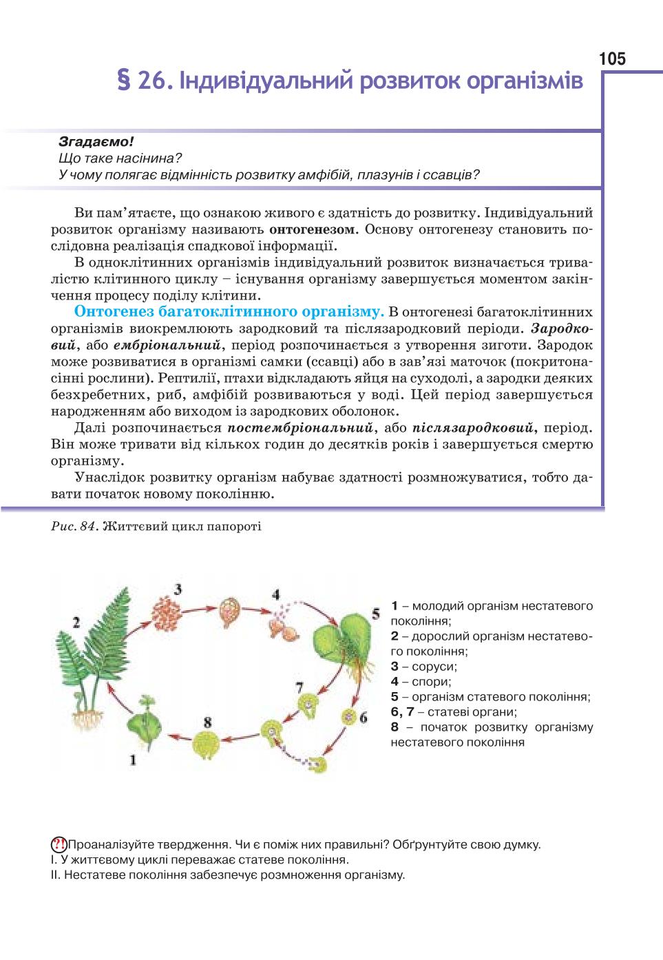 Мініатюра 105