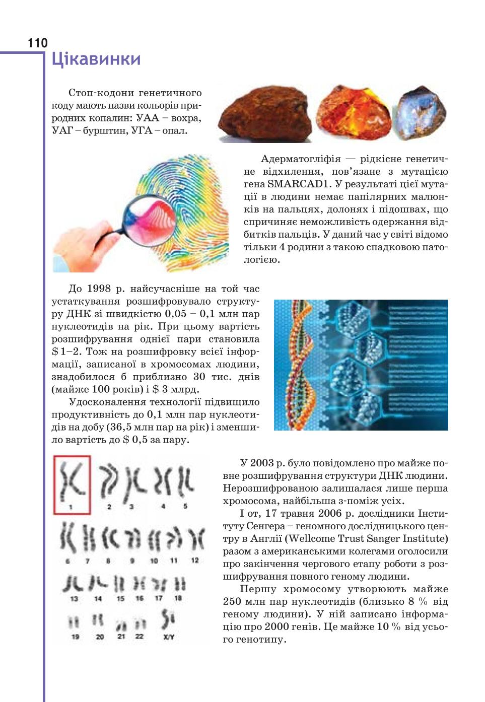 Мініатюра 110