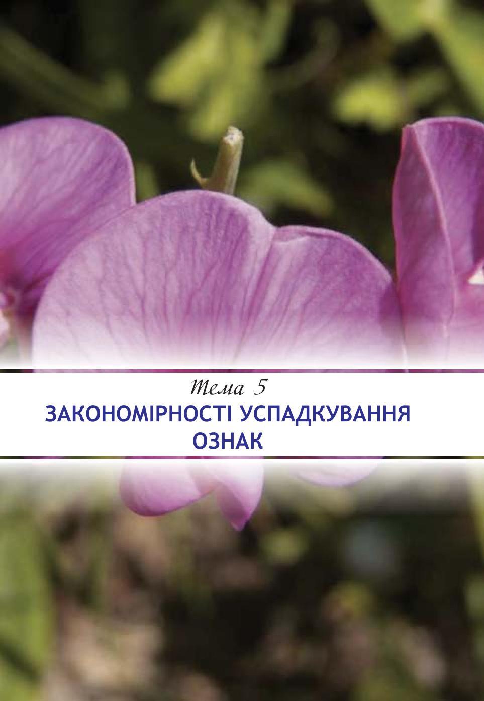 Мініатюра 115