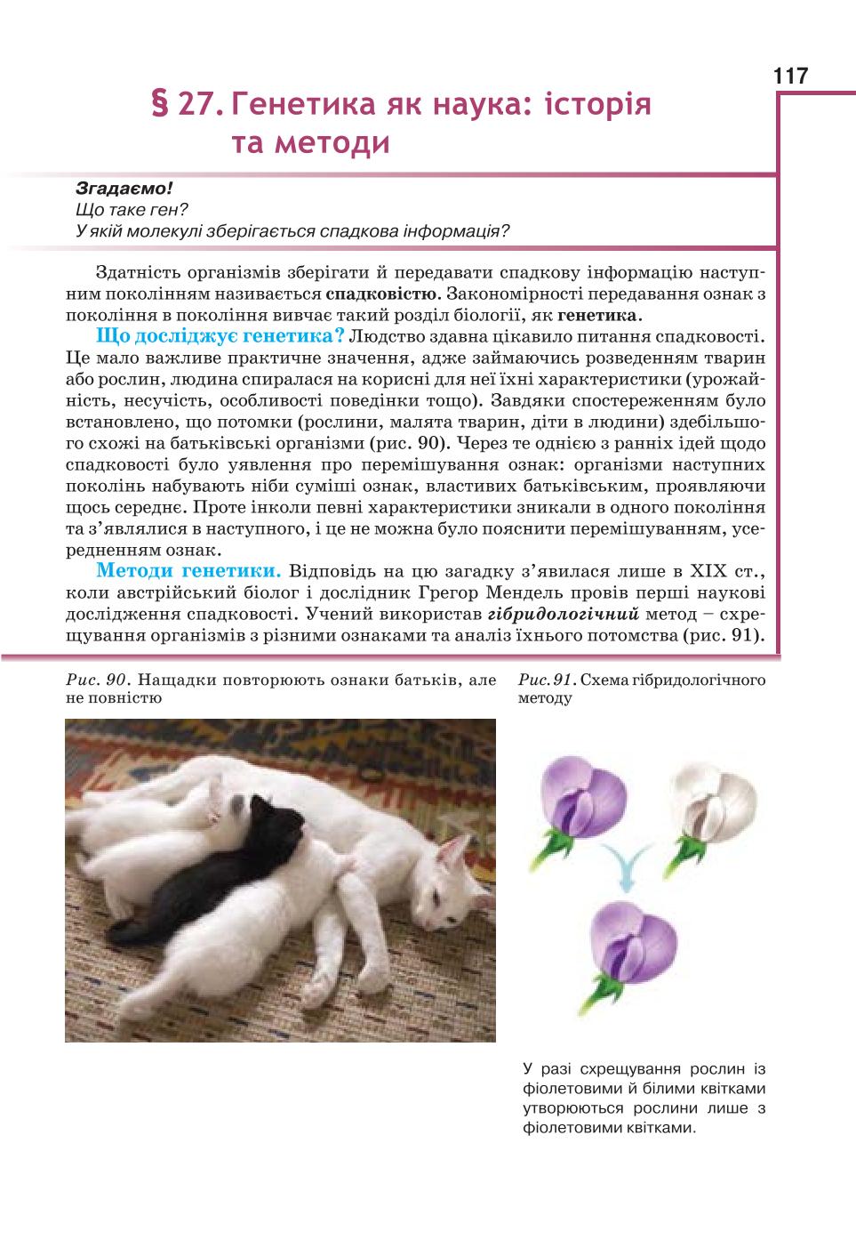 Мініатюра 117