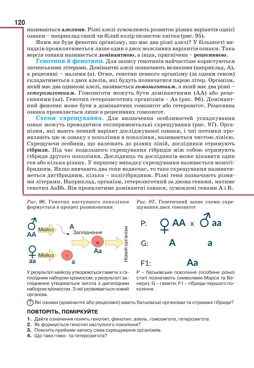 Мініатюра 120