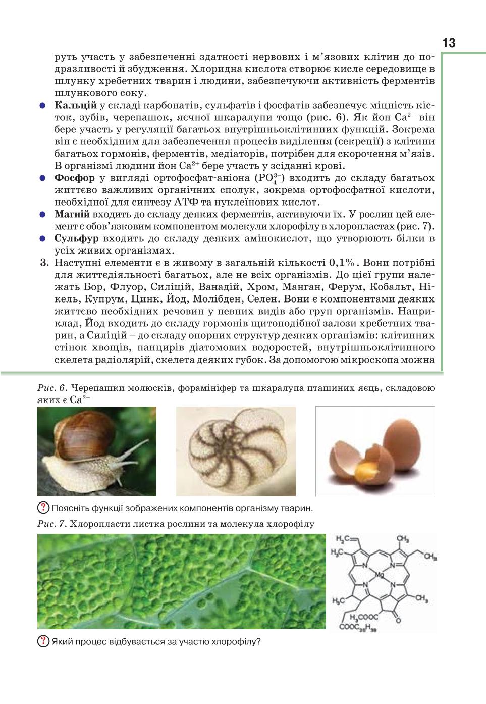 Мініатюра 13