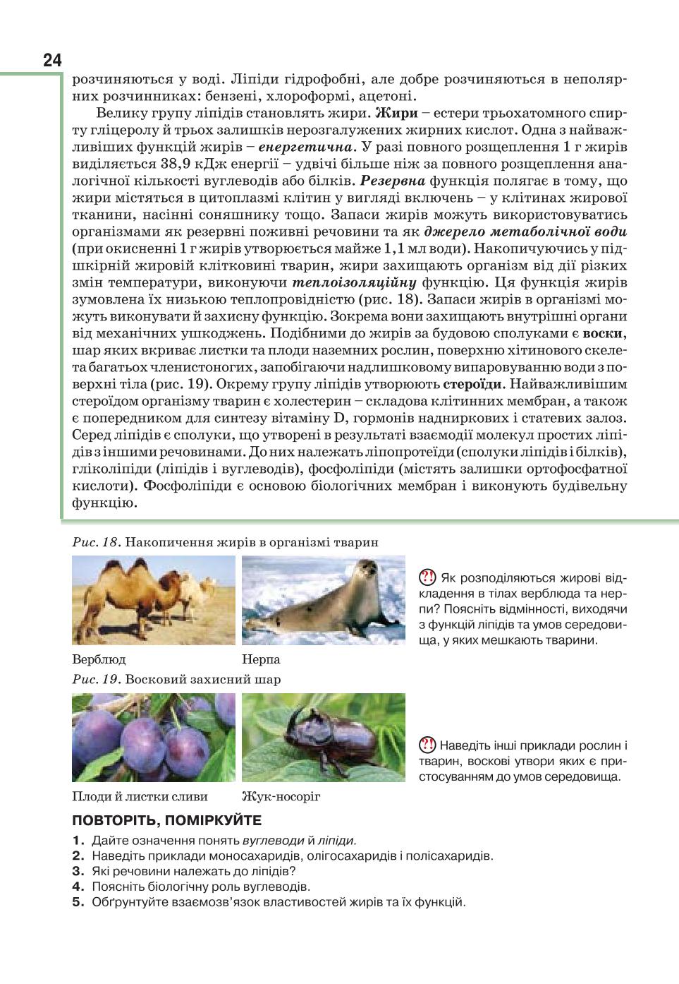 Мініатюра 24
