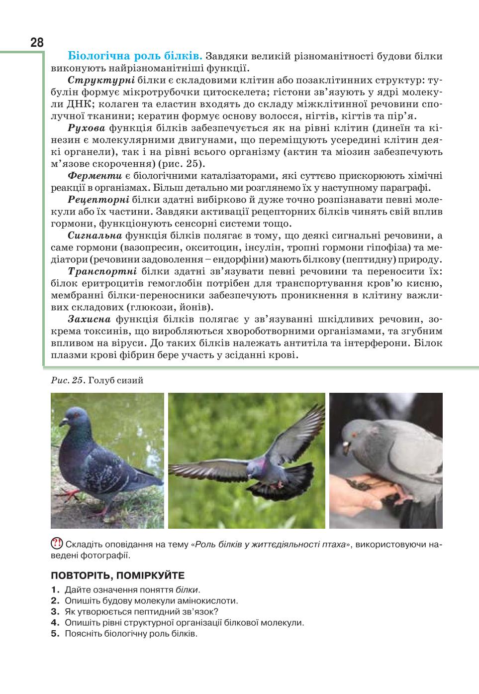 Мініатюра 28