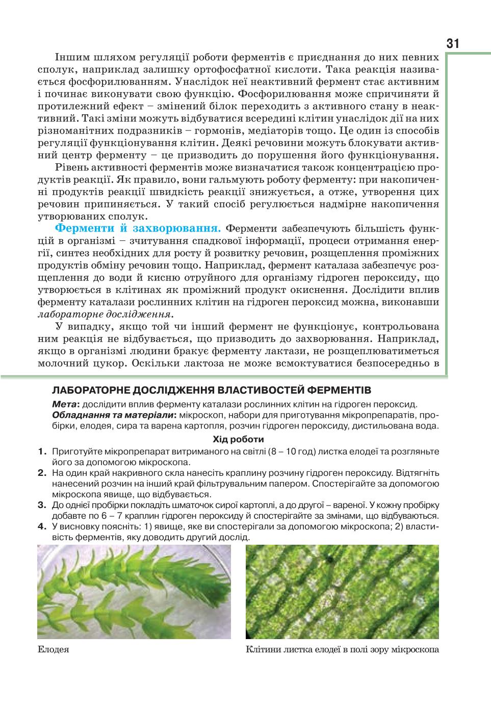 Мініатюра 31