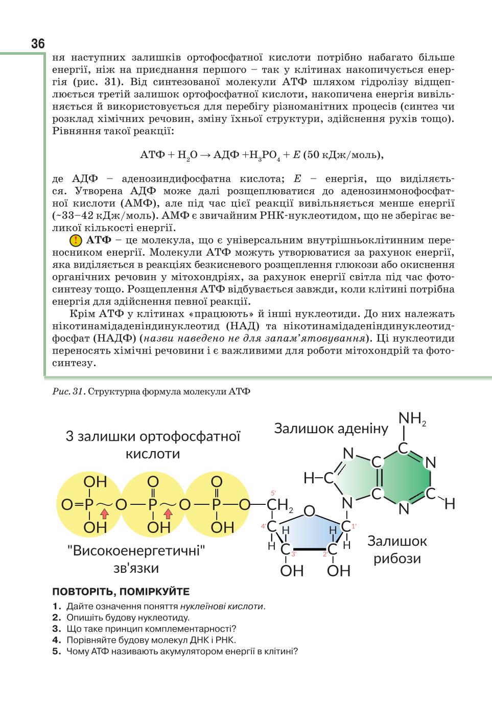 Мініатюра 36