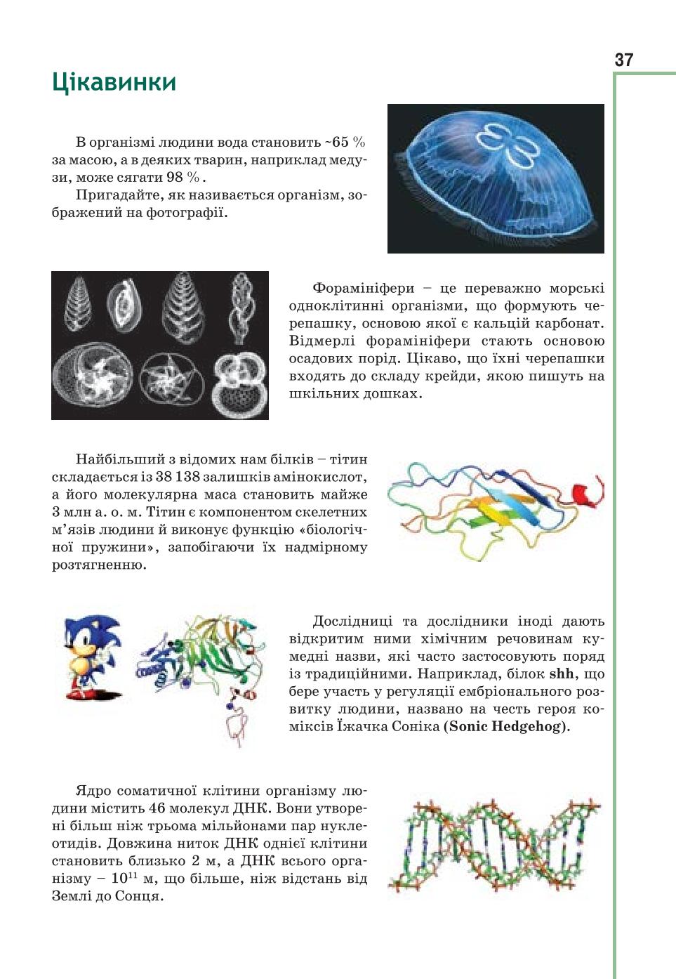 Мініатюра 37