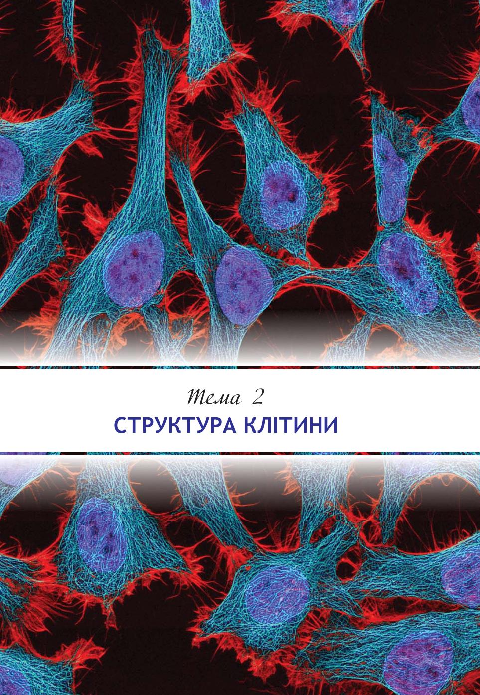 Мініатюра 43