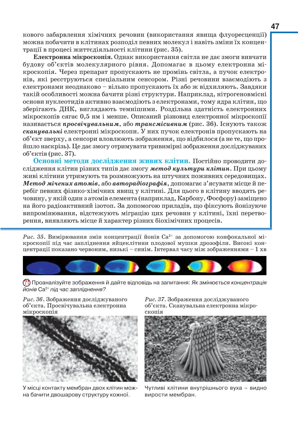 Мініатюра 47