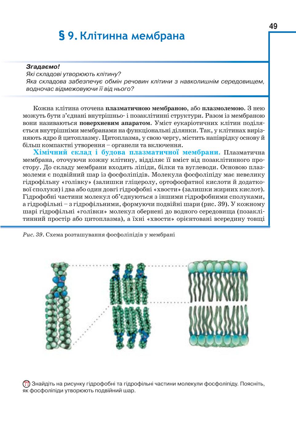 Мініатюра 49