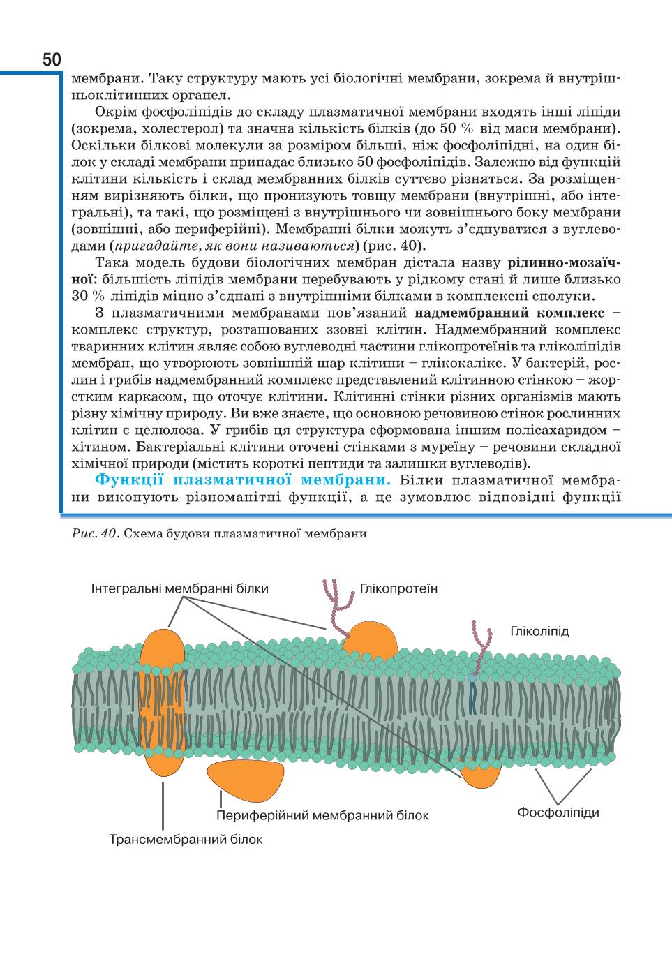 Мініатюра 50
