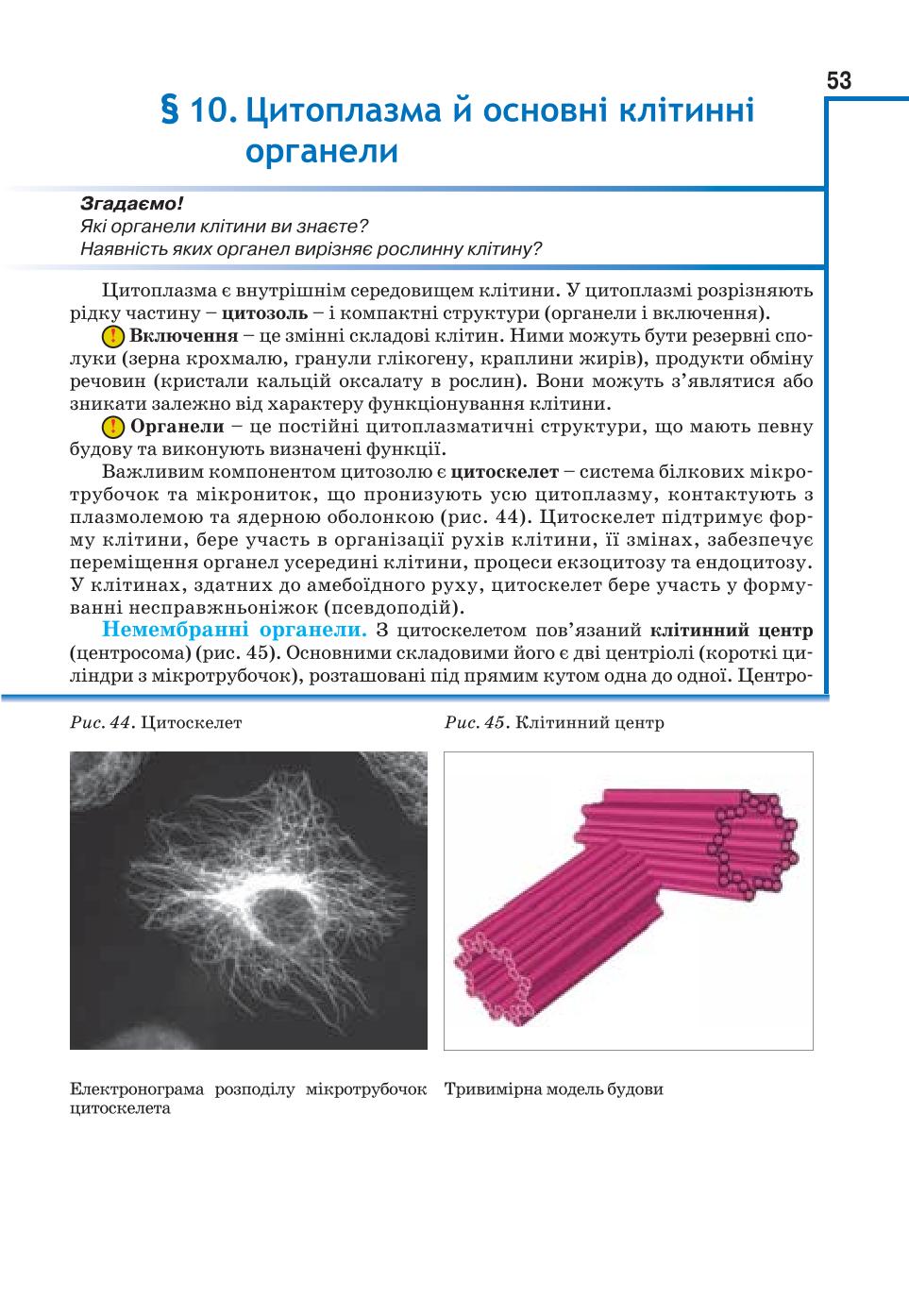 Мініатюра 53