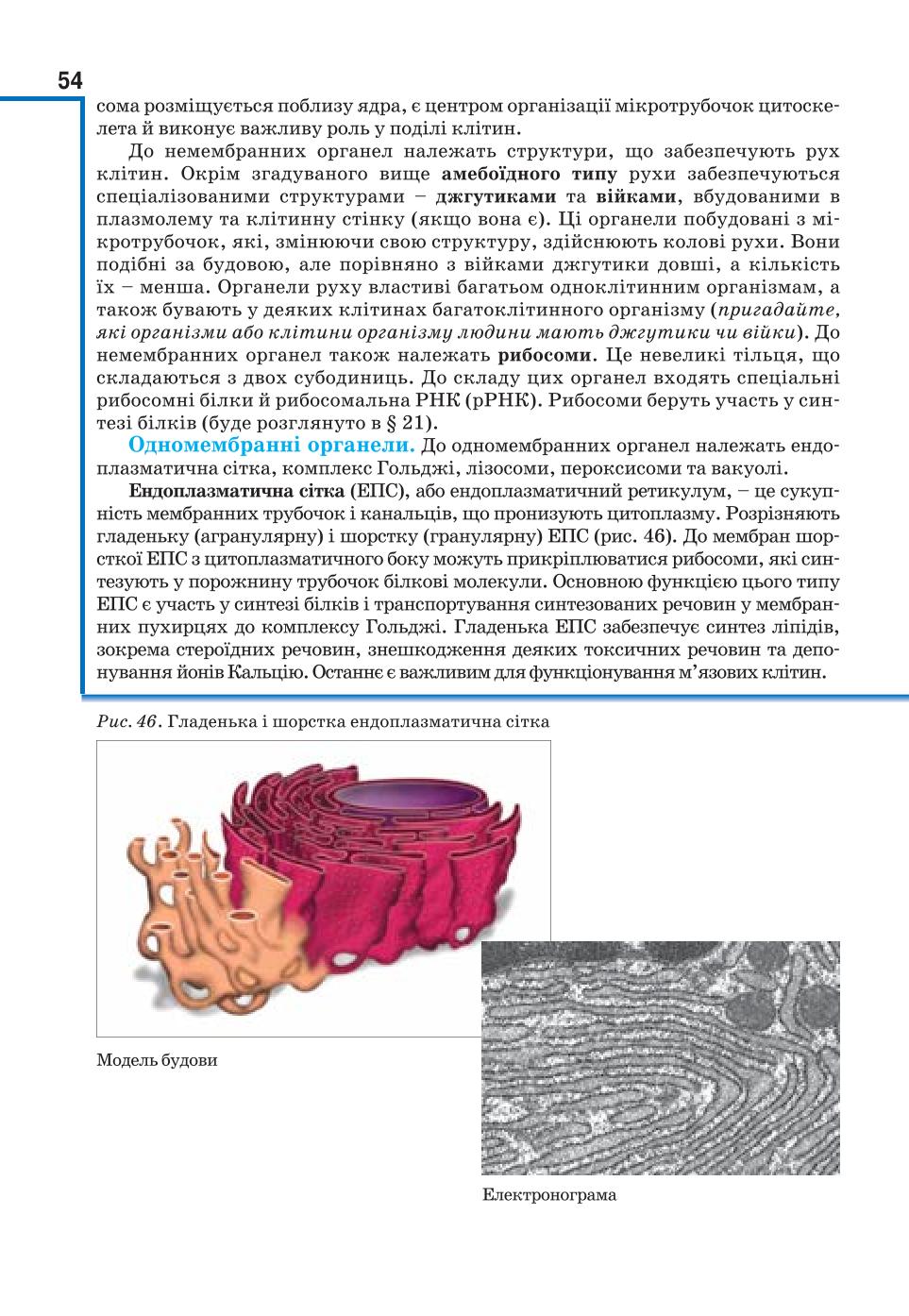 Мініатюра 54