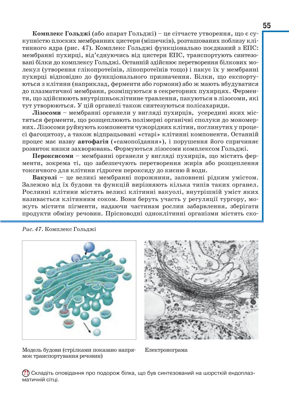 Мініатюра 55