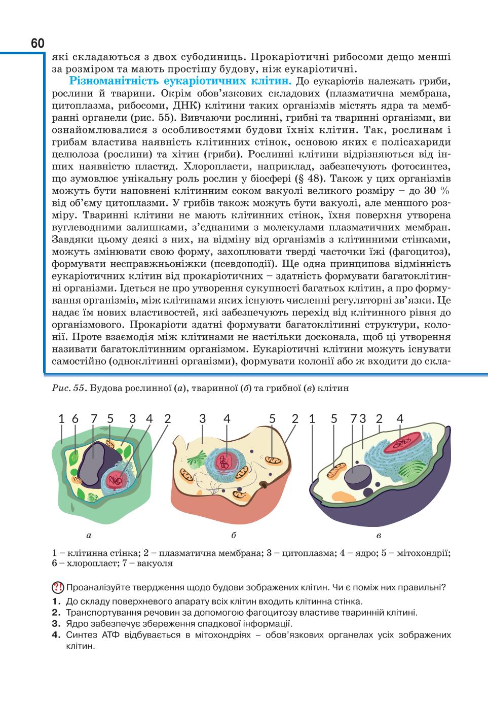 Мініатюра 60