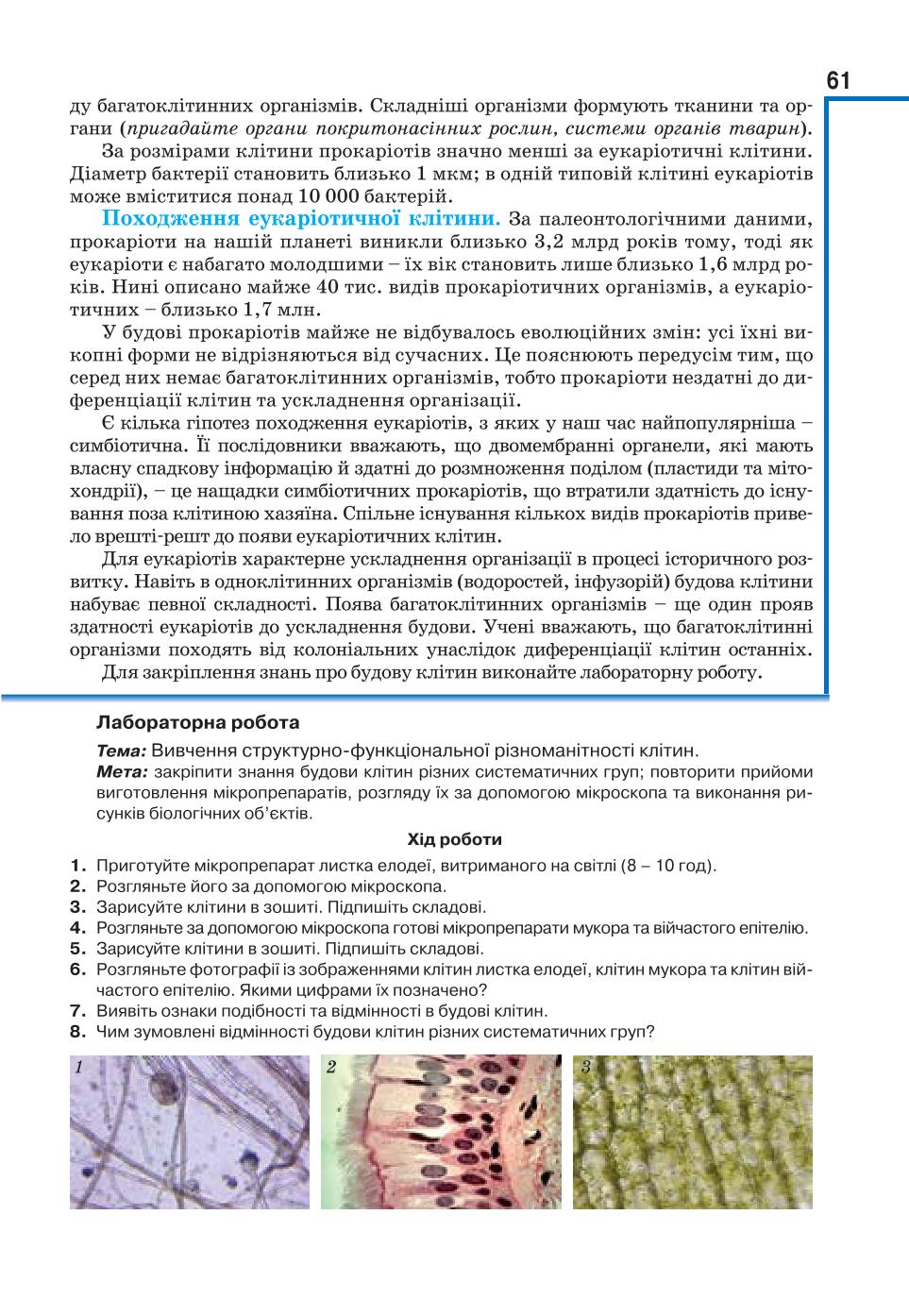 Мініатюра 61