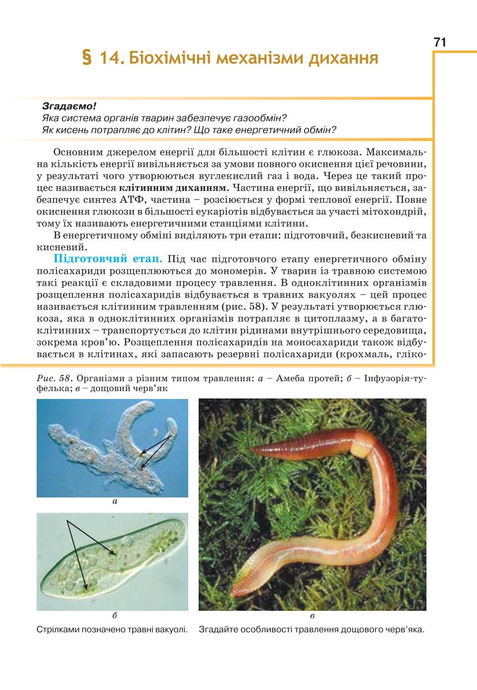Мініатюра 71