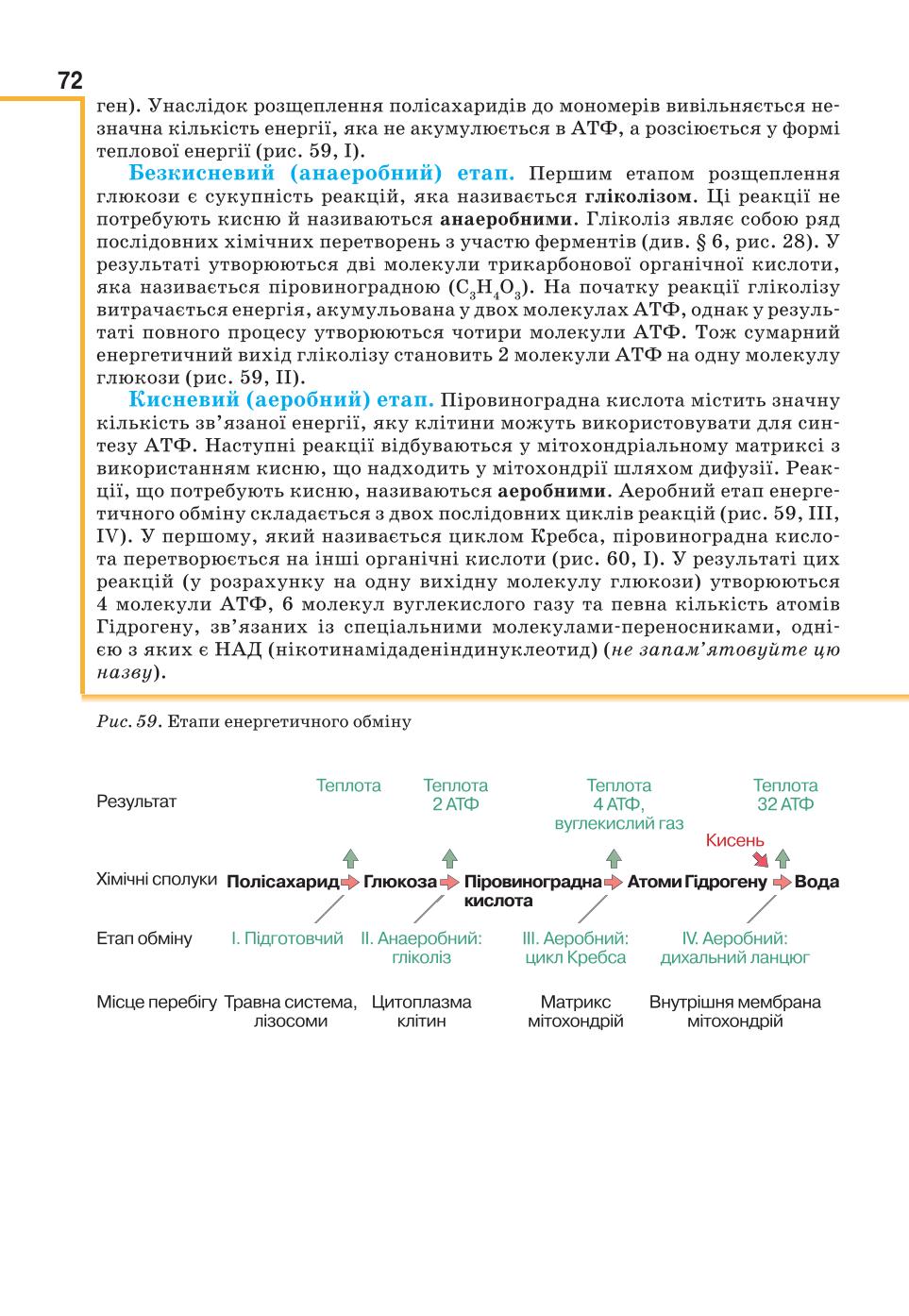 Мініатюра 72