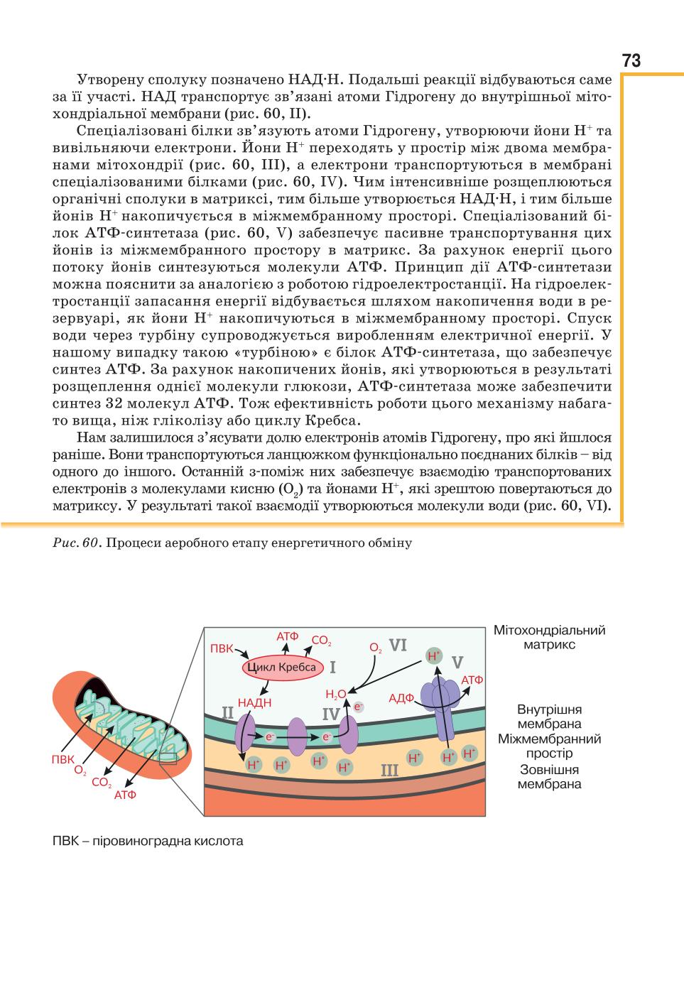 Мініатюра 73