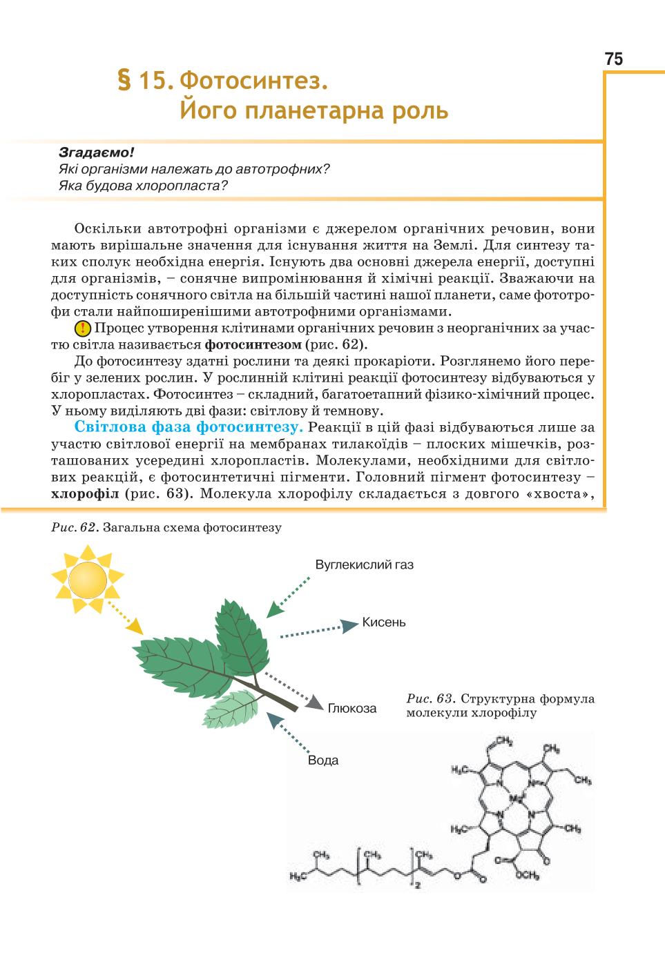 Мініатюра 75