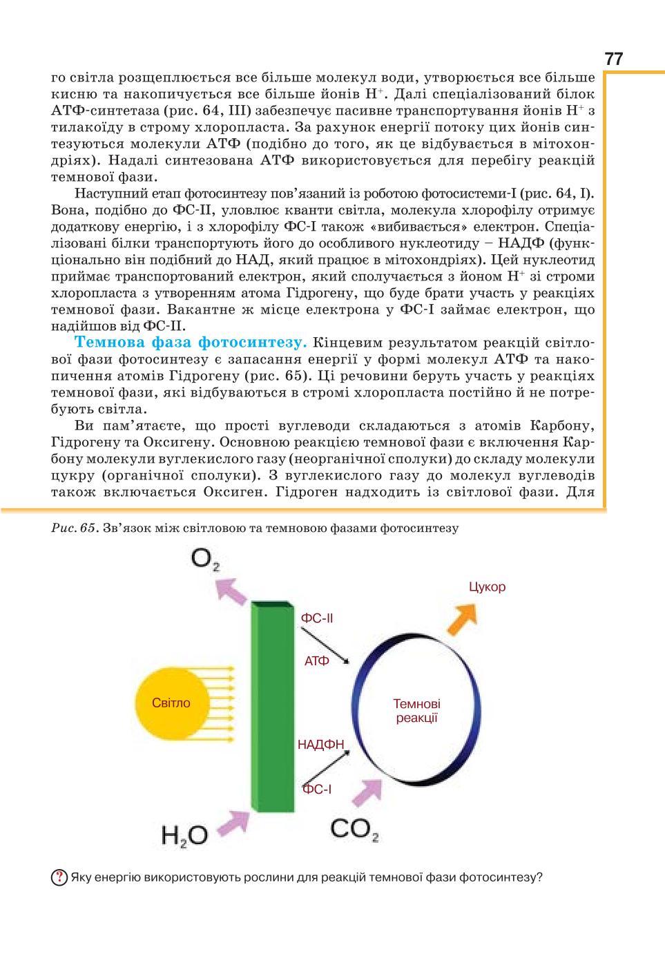 Мініатюра 77