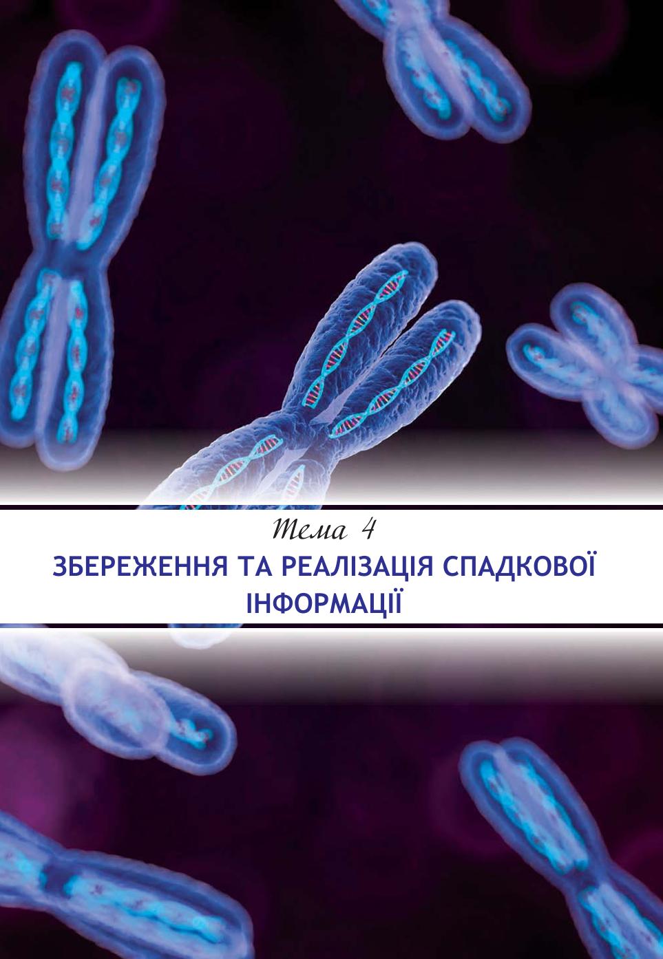 Мініатюра 87