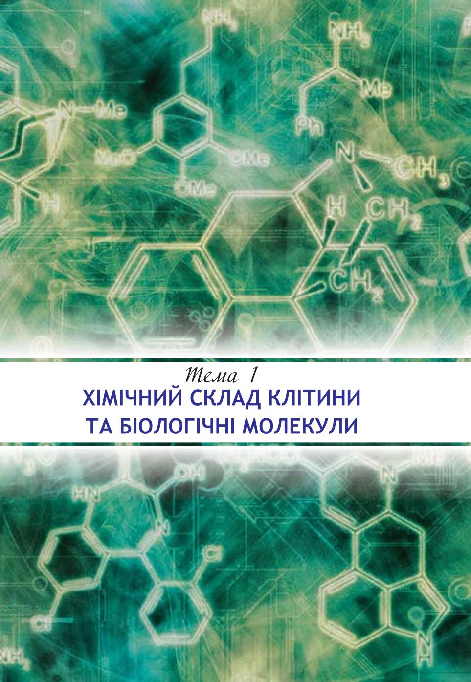 Мініатюра 9