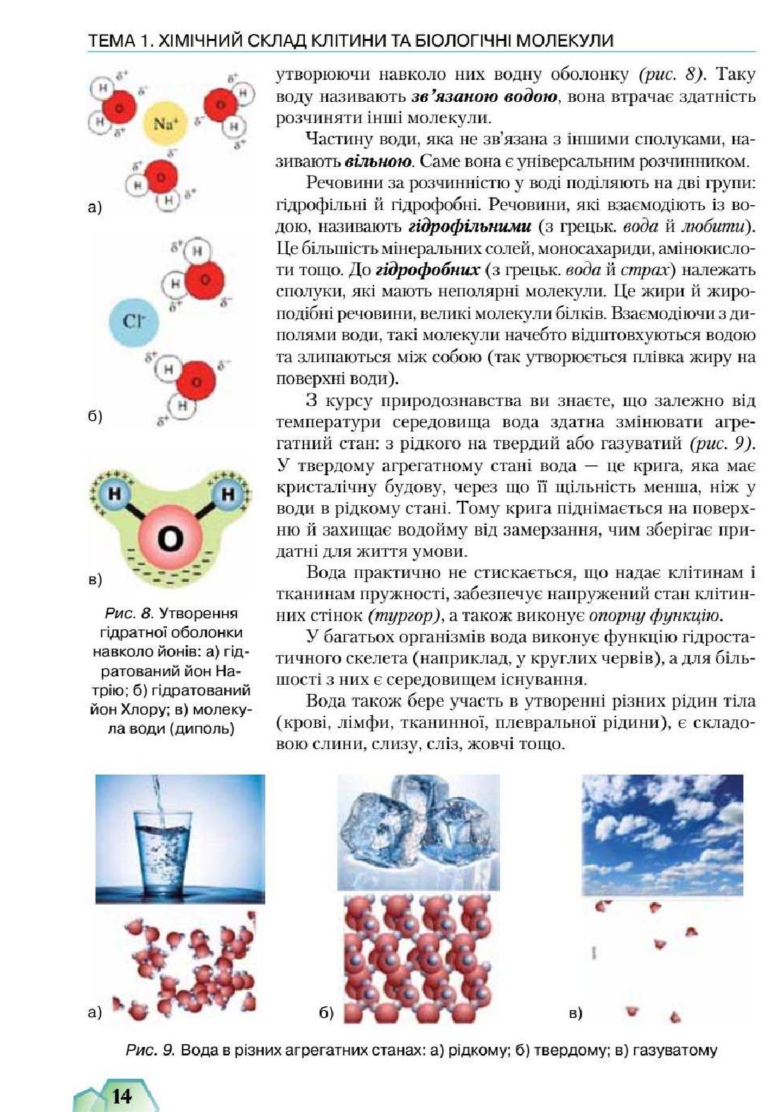 Мініатюра 14