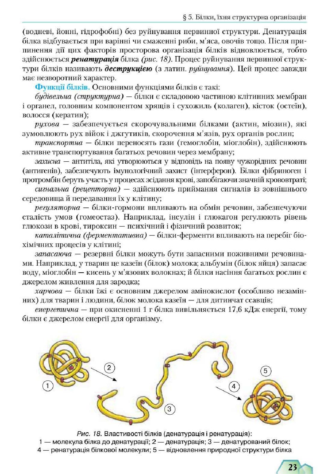 Мініатюра 23