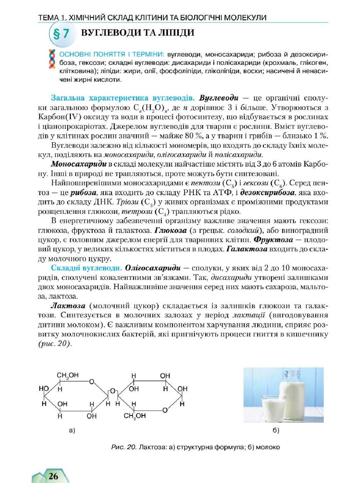 Мініатюра 26