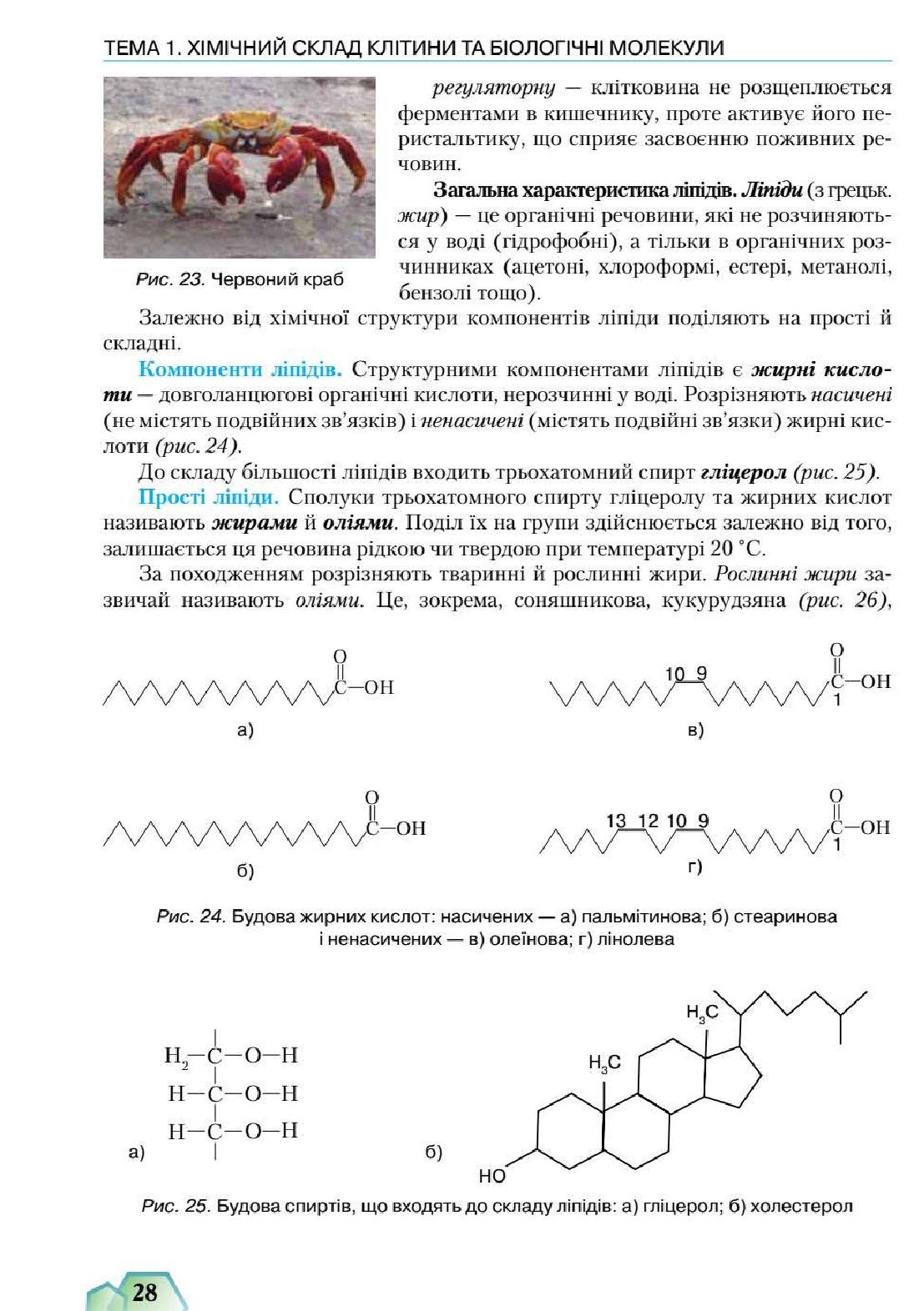 Мініатюра 28