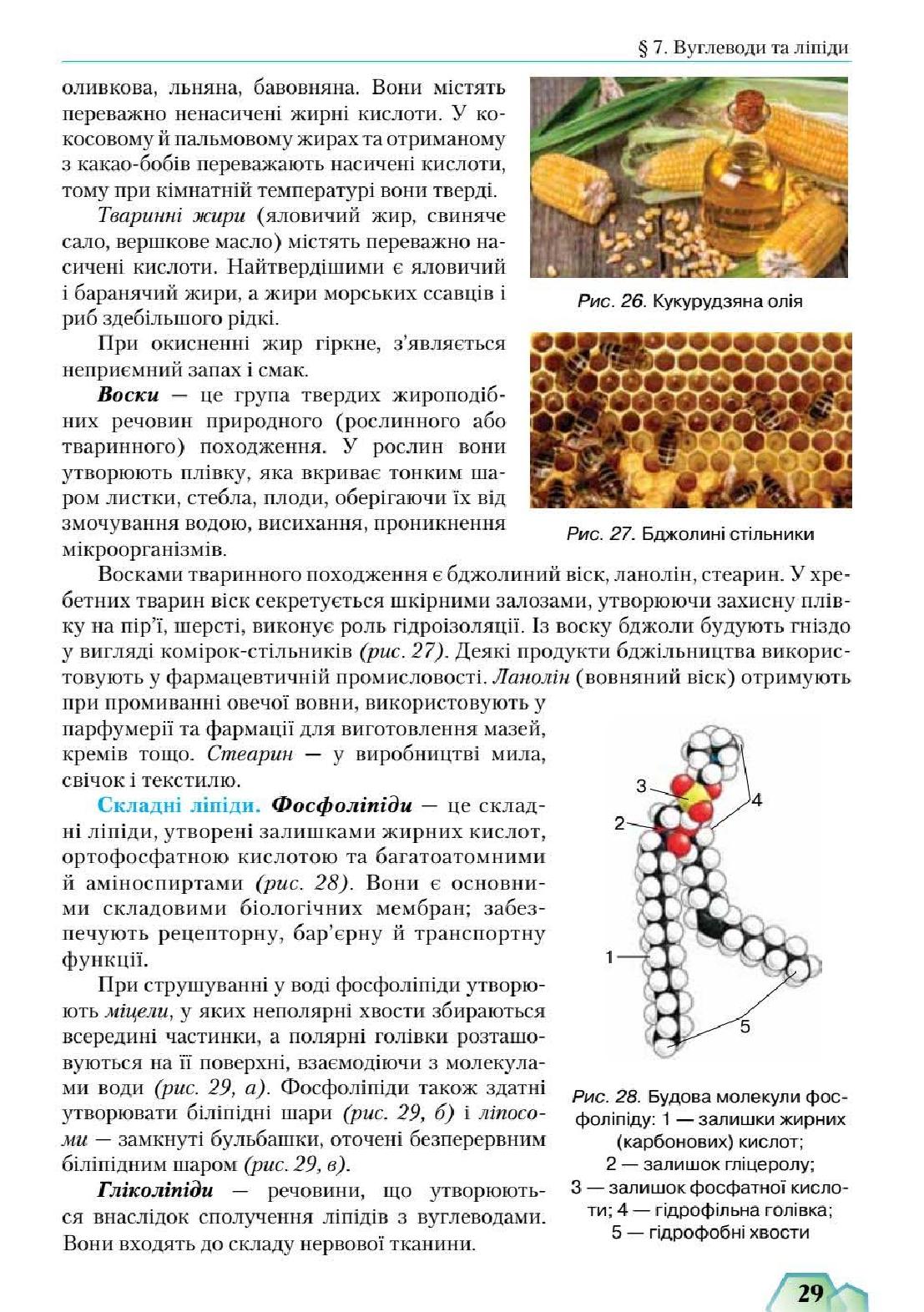 Мініатюра 29