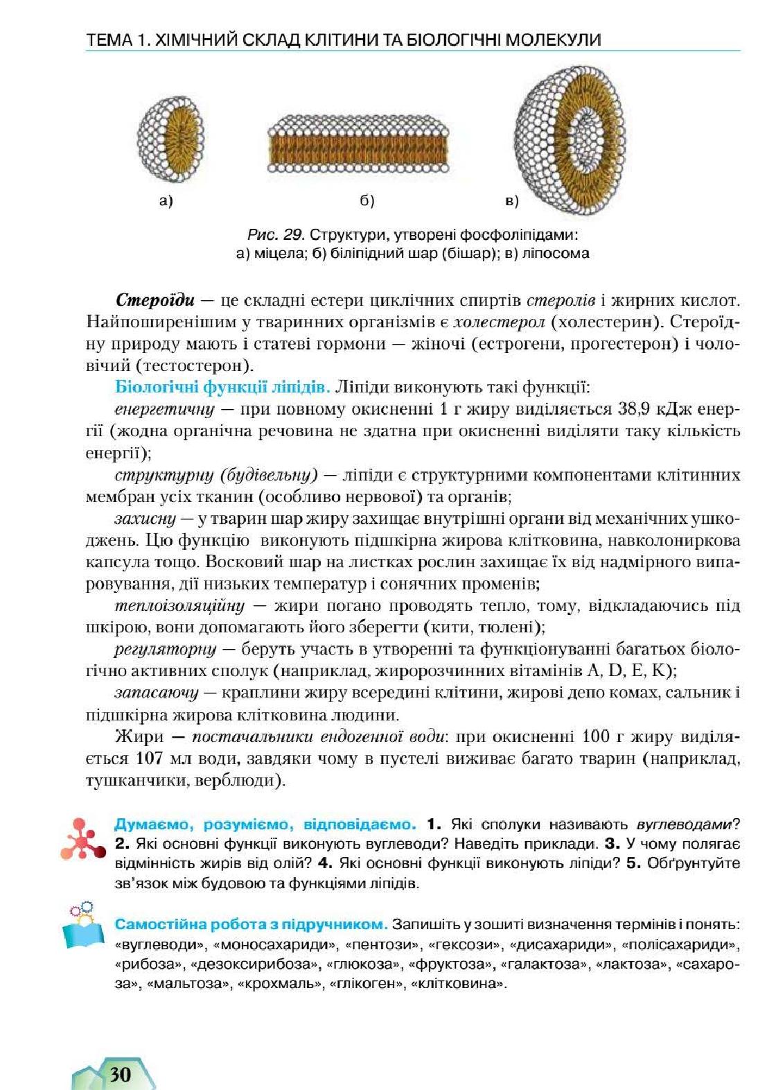 Мініатюра 30