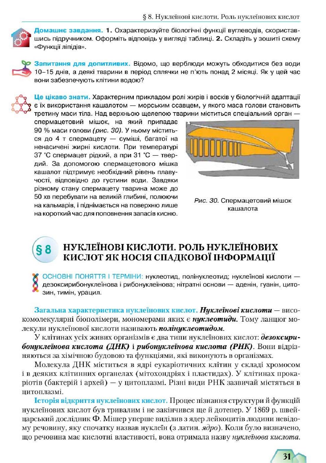 Мініатюра 31