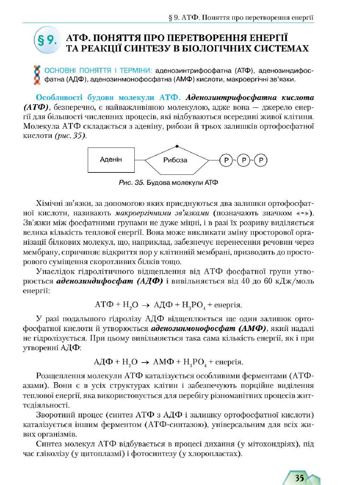 Мініатюра 35