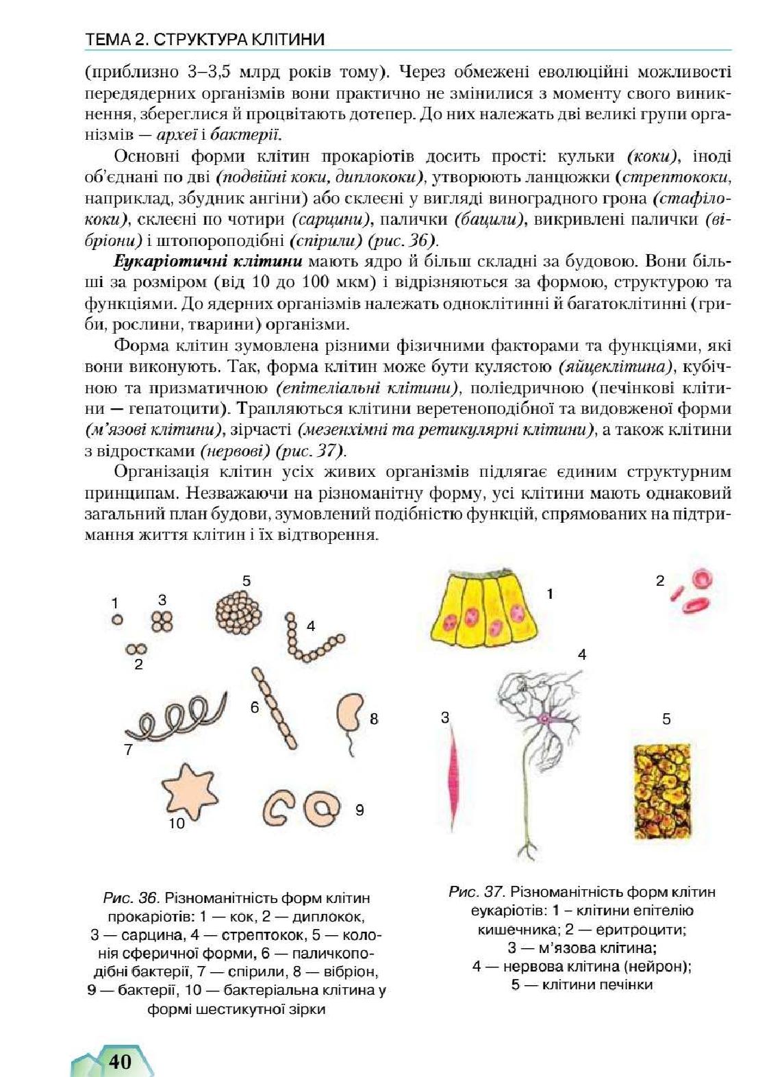 Мініатюра 40