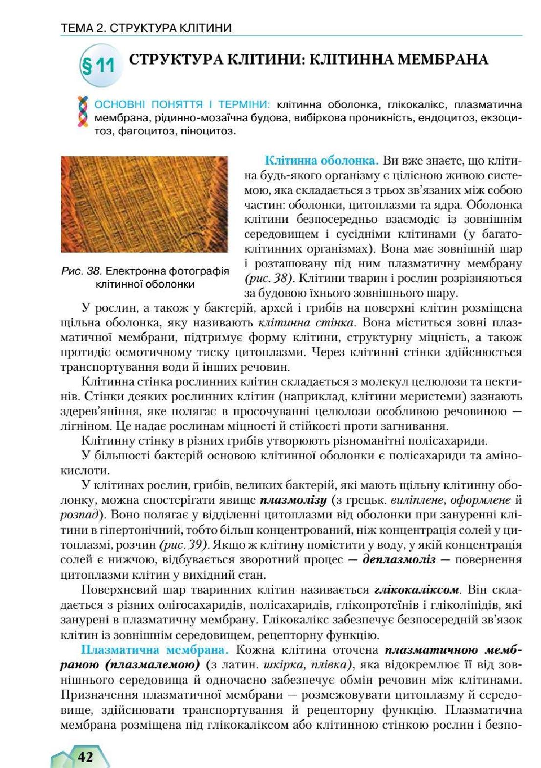 Мініатюра 42