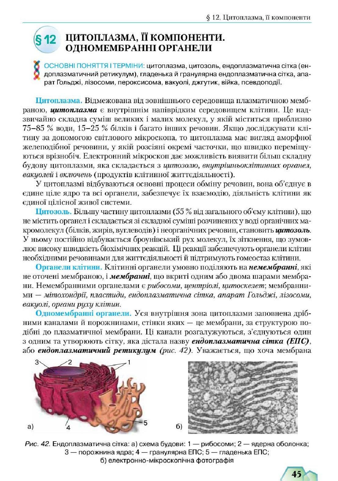 Мініатюра 45
