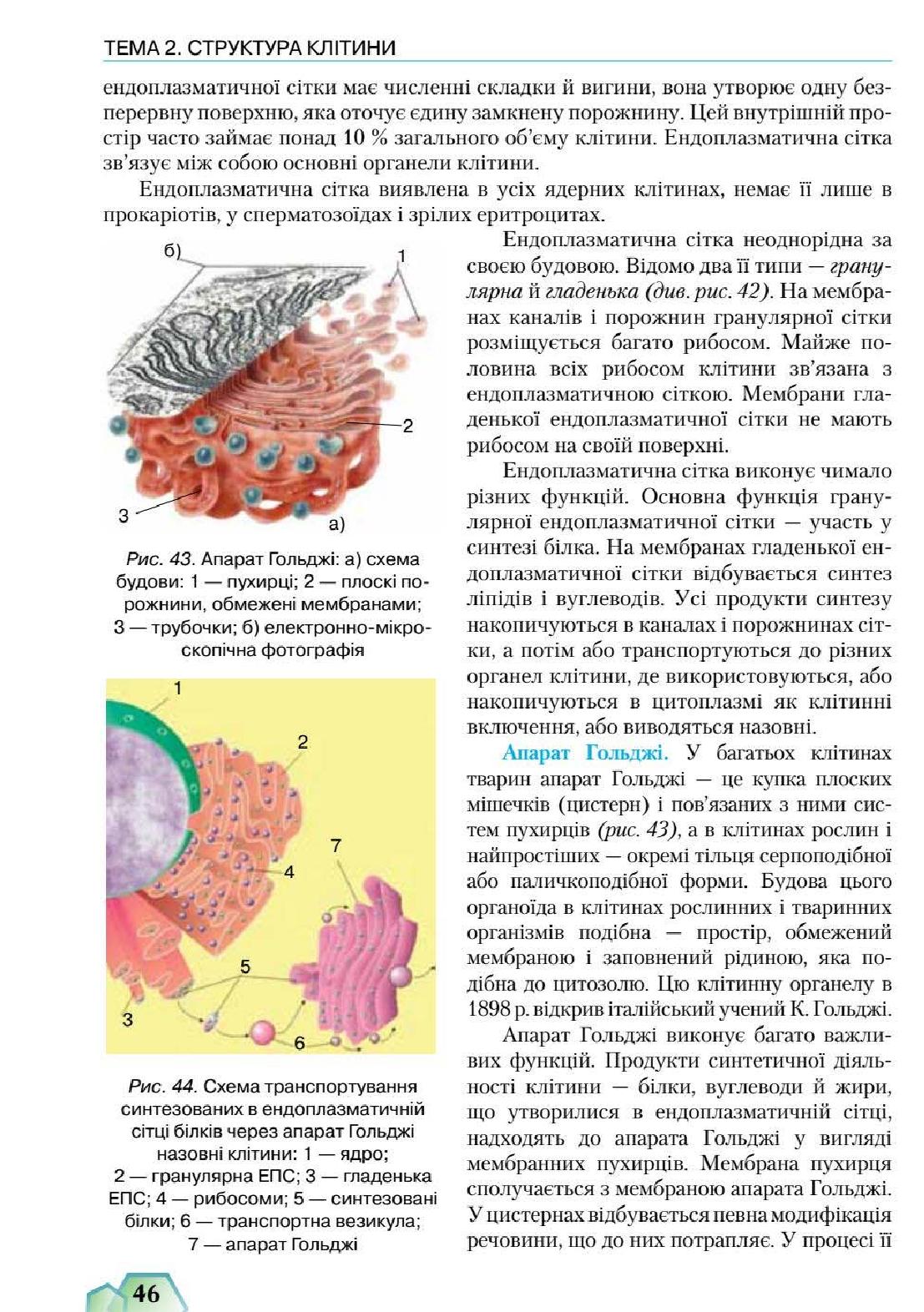 Мініатюра 46