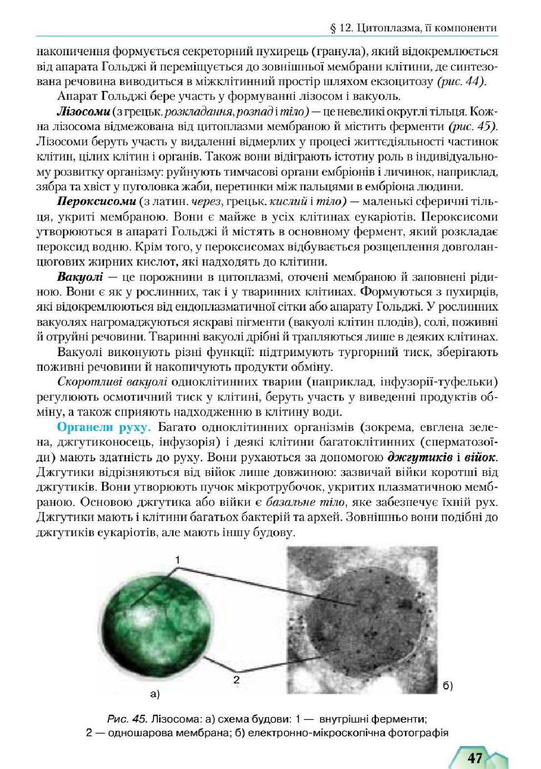 Мініатюра 47