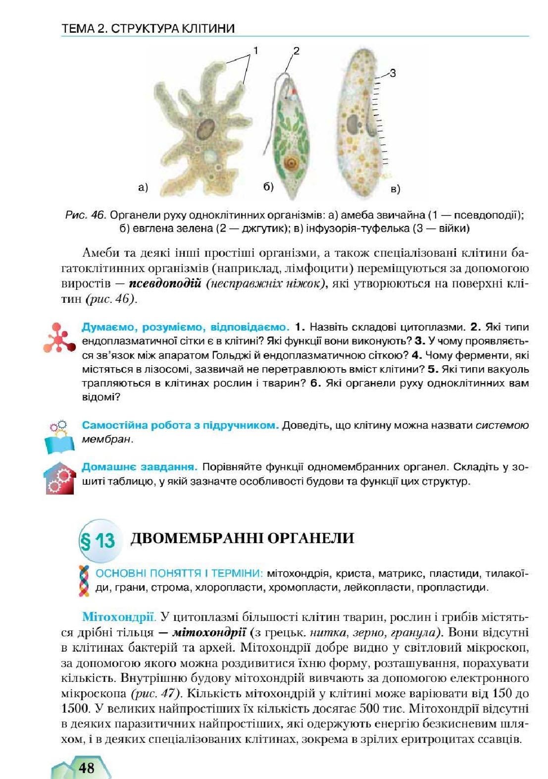 Мініатюра 48