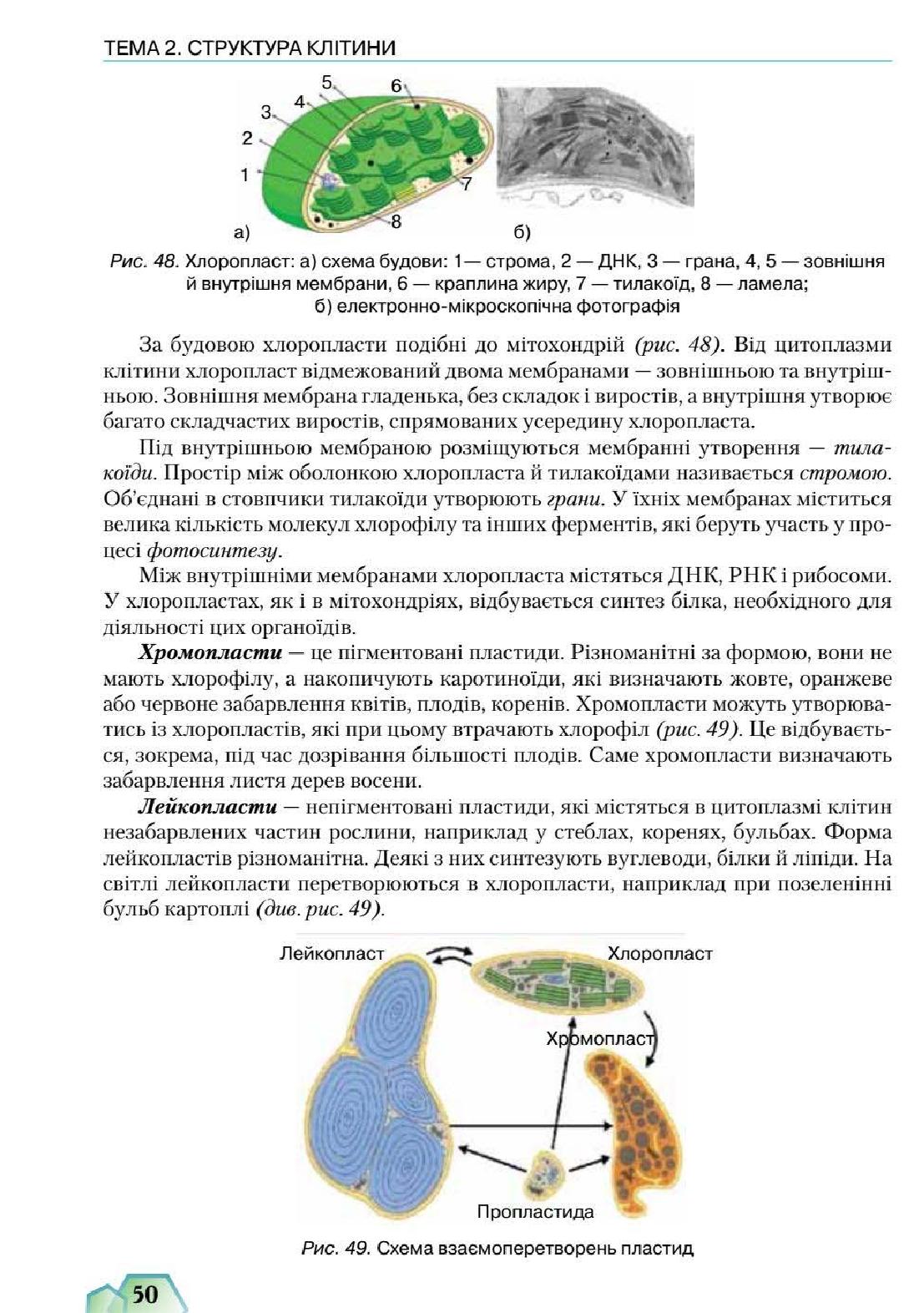 Мініатюра 50