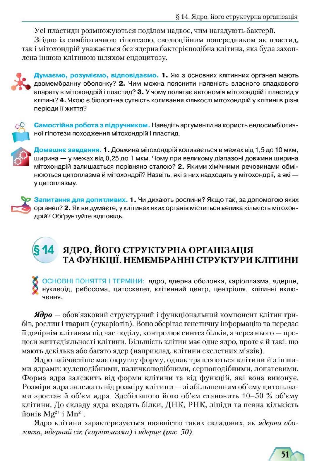 Мініатюра 51