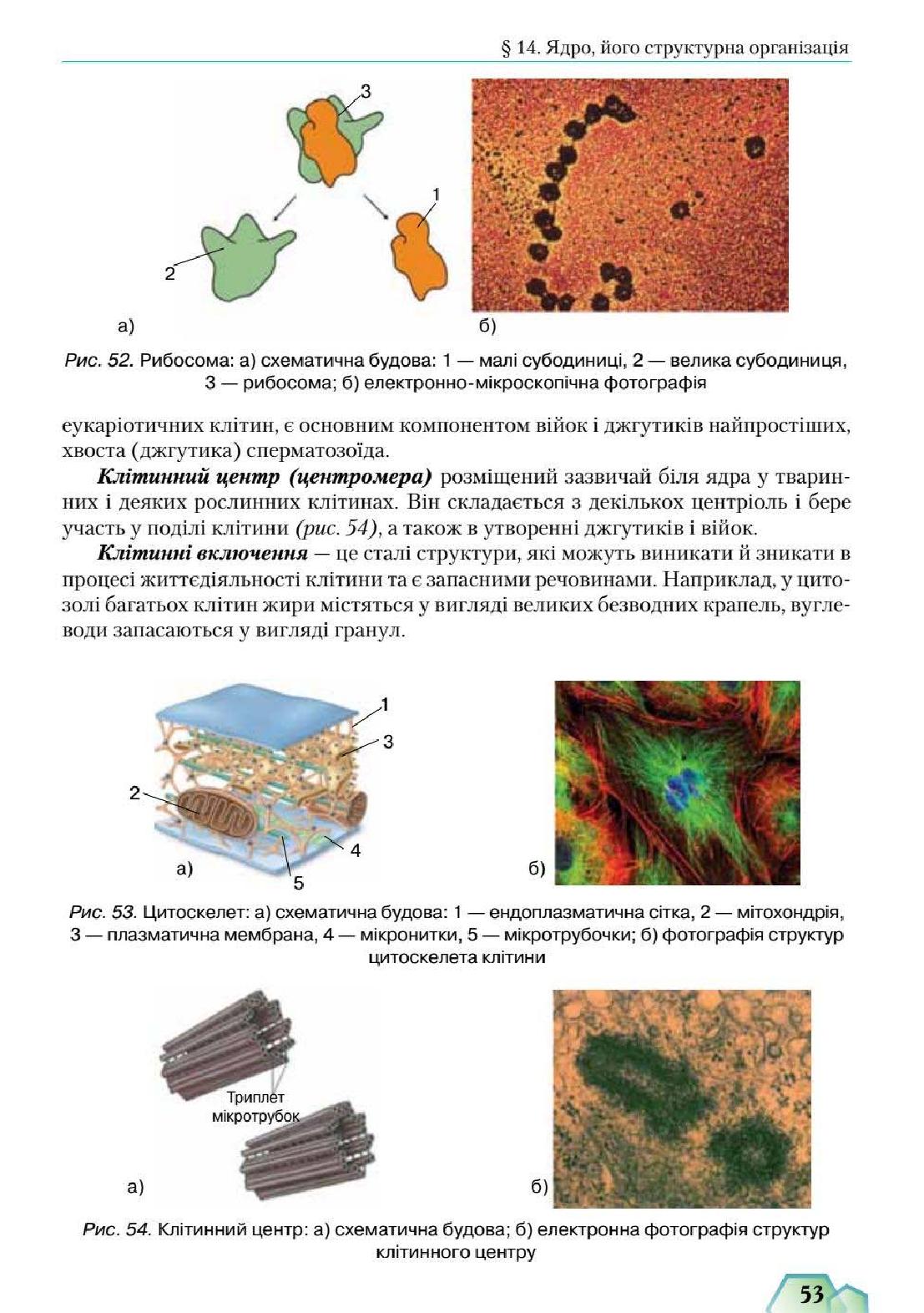 Мініатюра 53