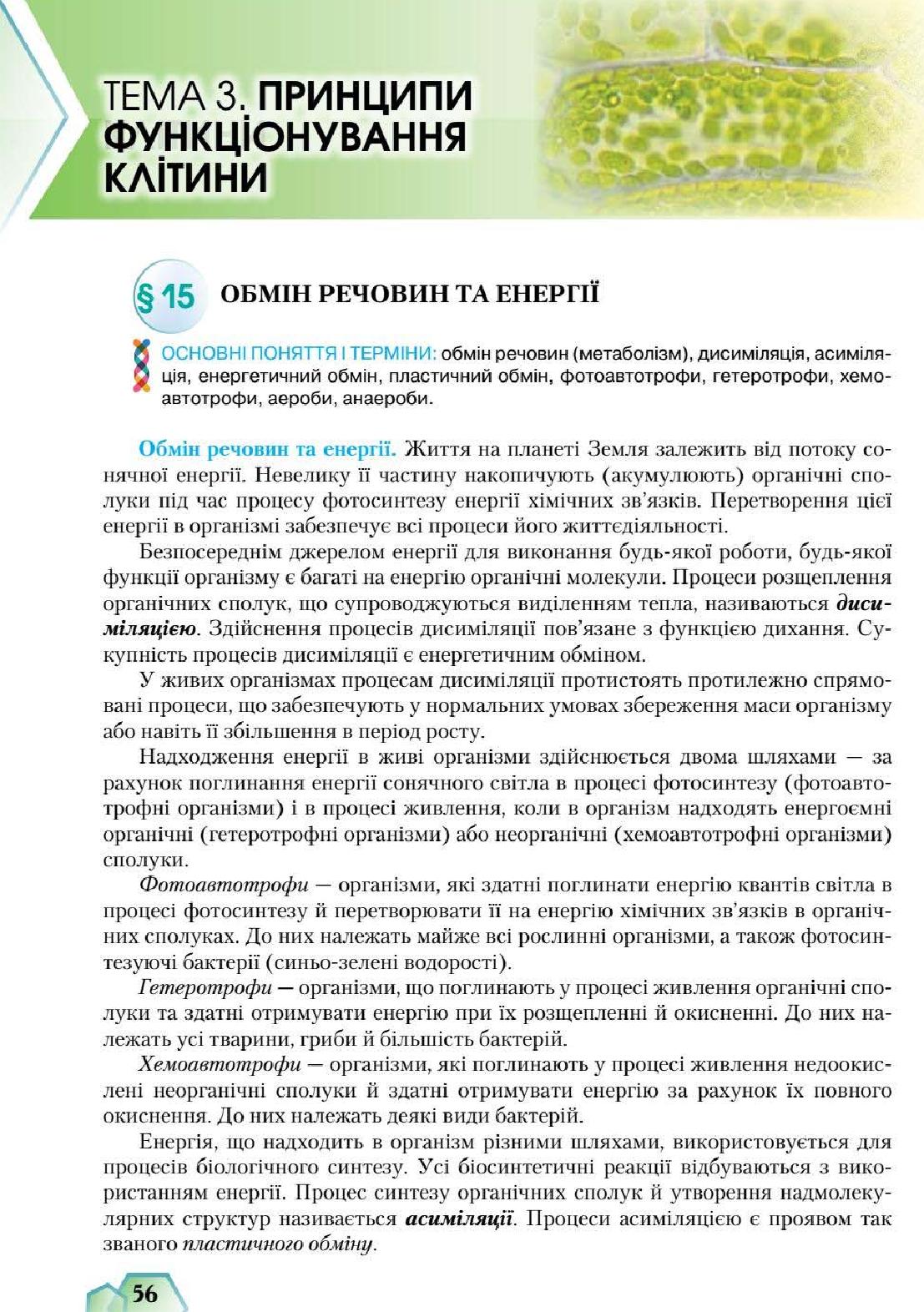 Мініатюра 56