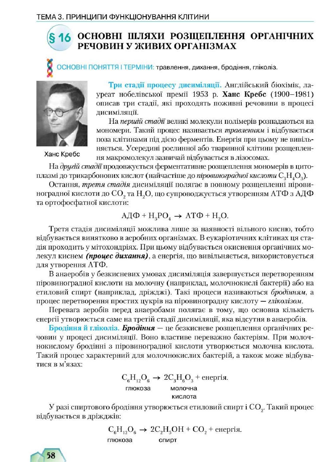 Мініатюра 58