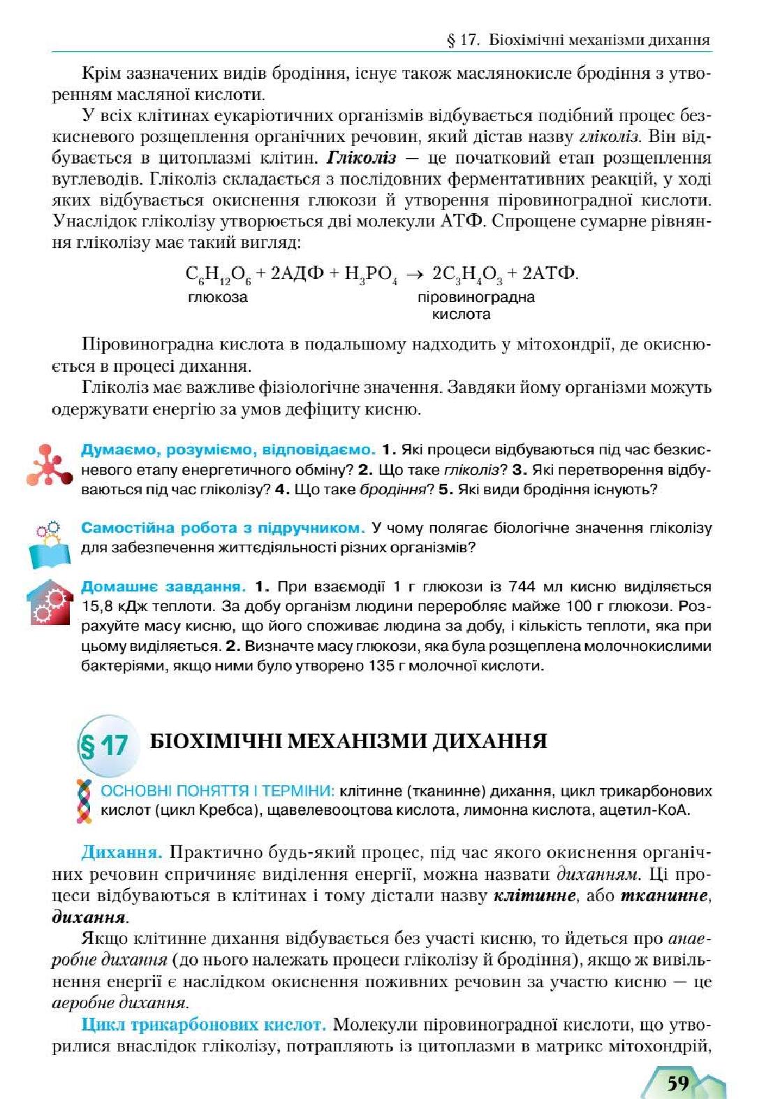 Мініатюра 59