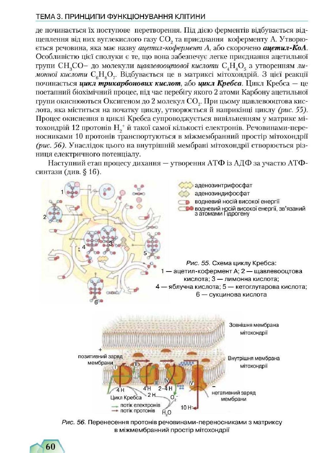 Мініатюра 60