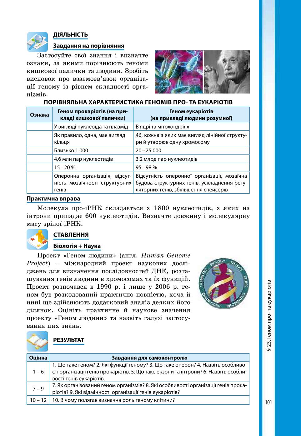 Мініатюра 101